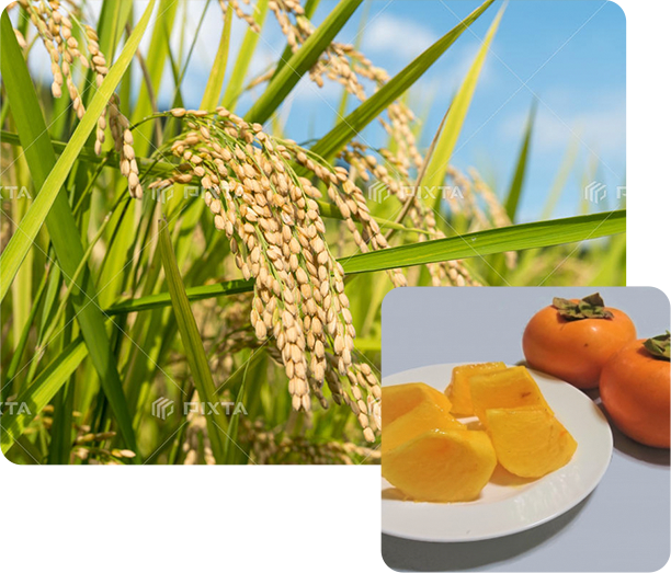 取り扱い商品コラージュ